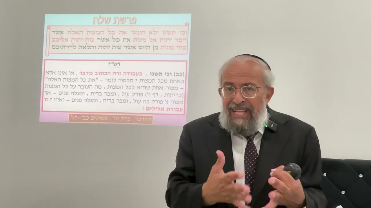 פרשת שלח - על ״שוגג״ ו