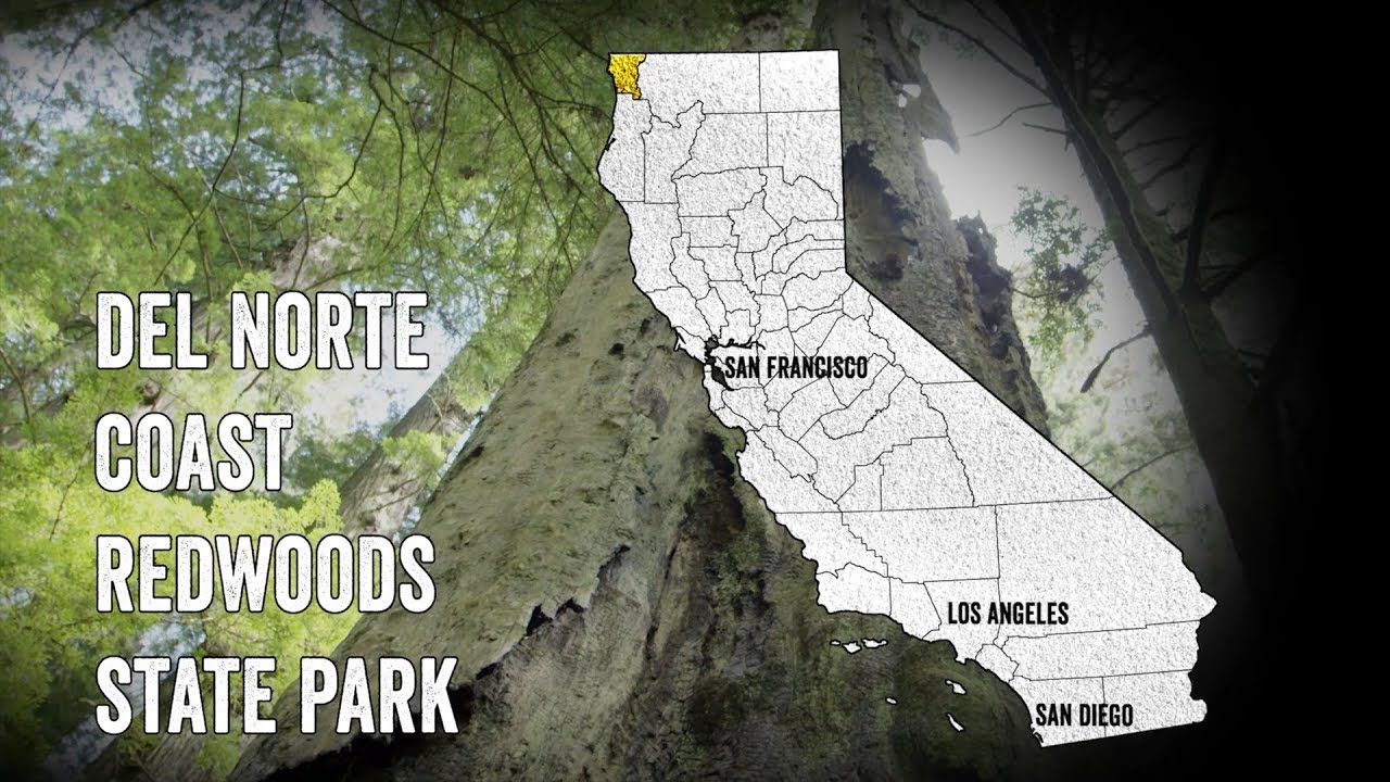 Del Norte Redwoods State Park