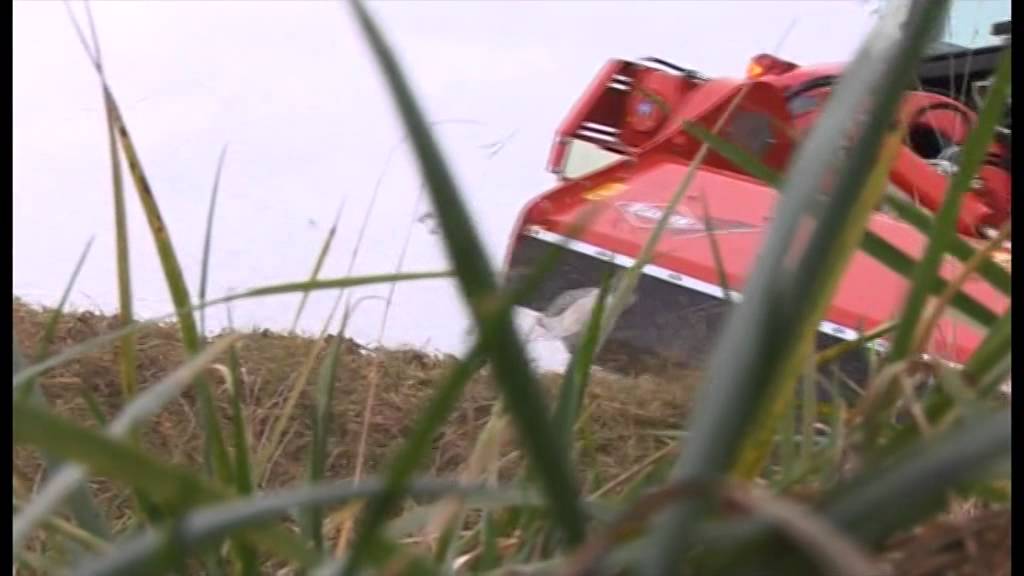 KUHN Mulcher der Serie TBE und TBES