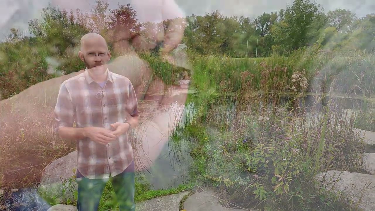 Pond Tool