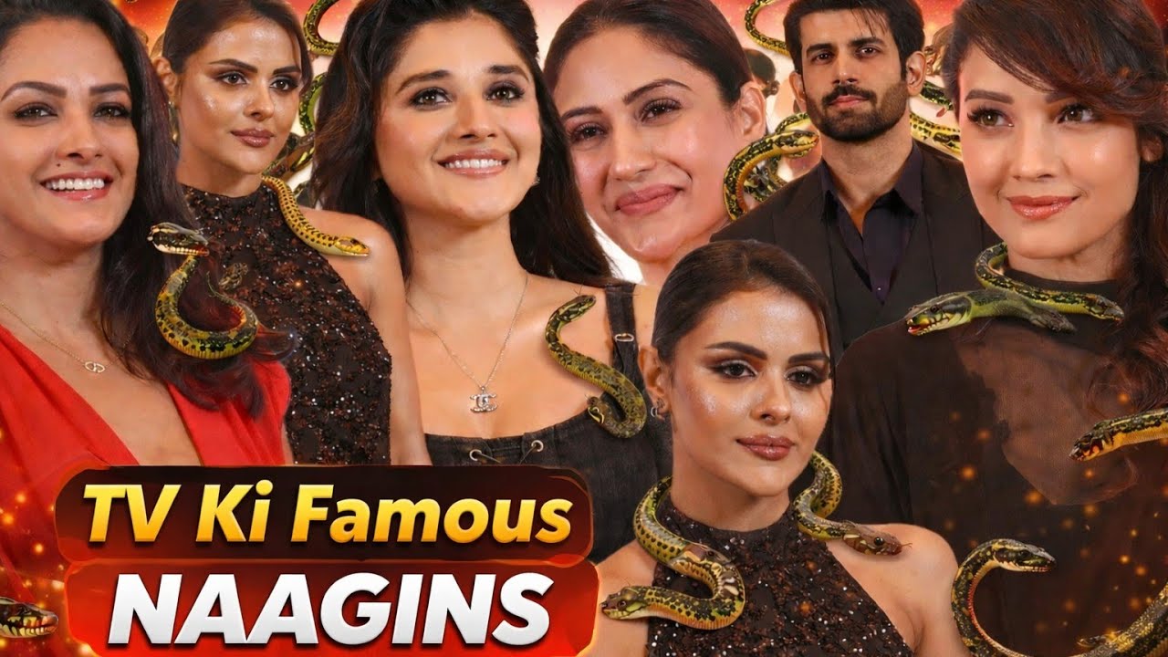 लगता है नागिनों का मार्केट लगा है Adaa , Surbhi , Anita , Priyanka Chahar Choudhary , Kanika Mann .