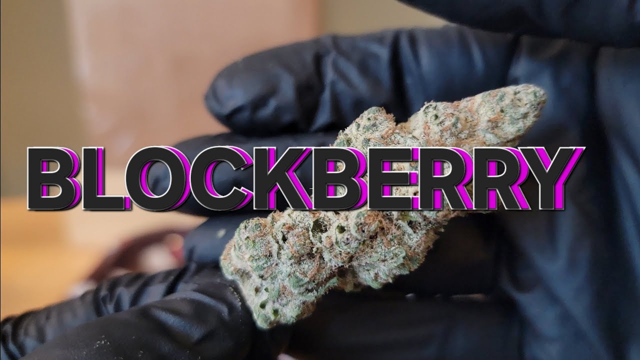 Blockberry - California Gold Farm - THCa Flower Review