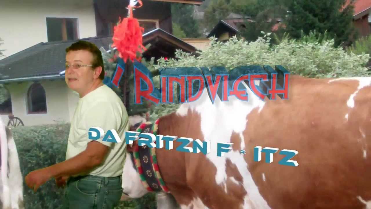 s' Rindviech  -  da fritzn fritz http://dafritznfritz.de