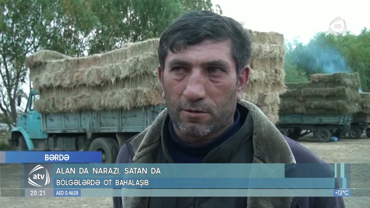 Bölgələrdə ot bahalaşıb