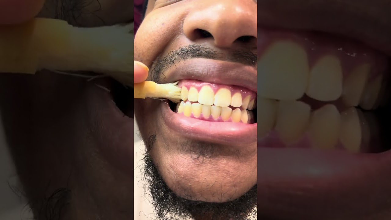 Rediscovering the power of natural oral care with miswak sticks