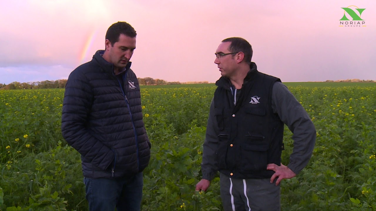NORIAP - Reportage - S'installer aujourd