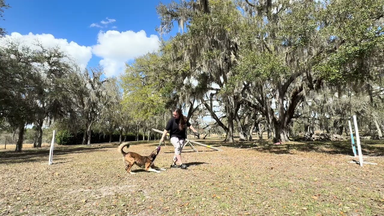 Adding behind and in front with the target 