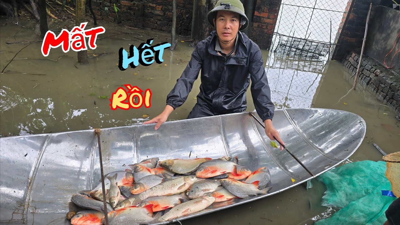 Nước Lên Quá Nhanh Cả Làng Chạy Lụt Và Ngập Mất Ao Cá / HIỆP CUỘI TV