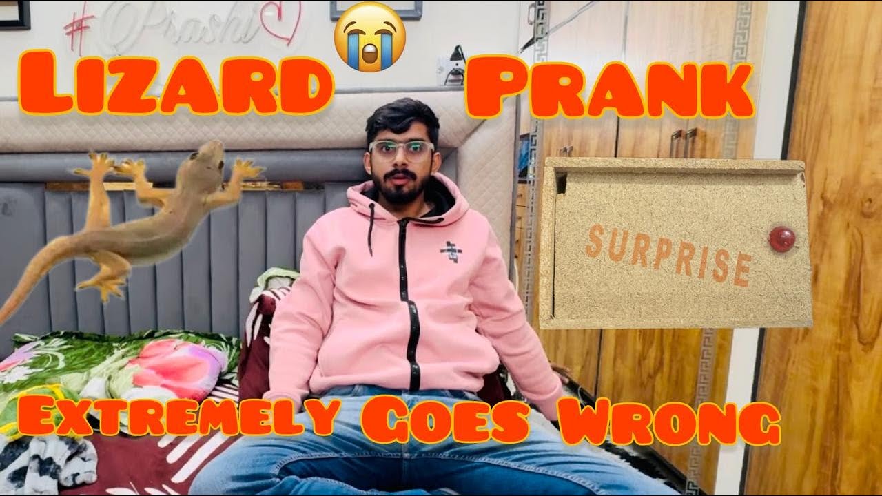 Lizard Prank on Husband | Vlog with Prashi |  Vlog #27