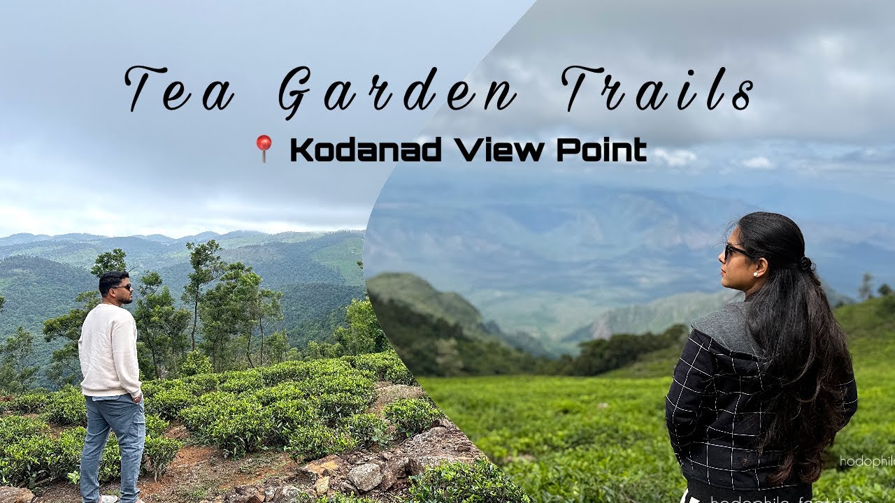 EP3: Tea Garden Trails | Kodanad View Point | Kotagiri | RoadTrip 2025 | Hodophile Footsteps