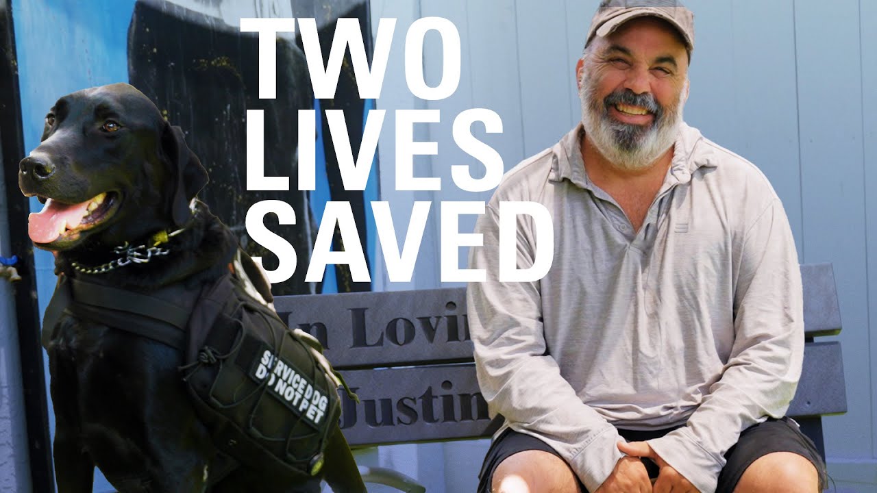 Rescue Dogs, Healing Veterans | Shelter to Soldier x Vulcan Materials