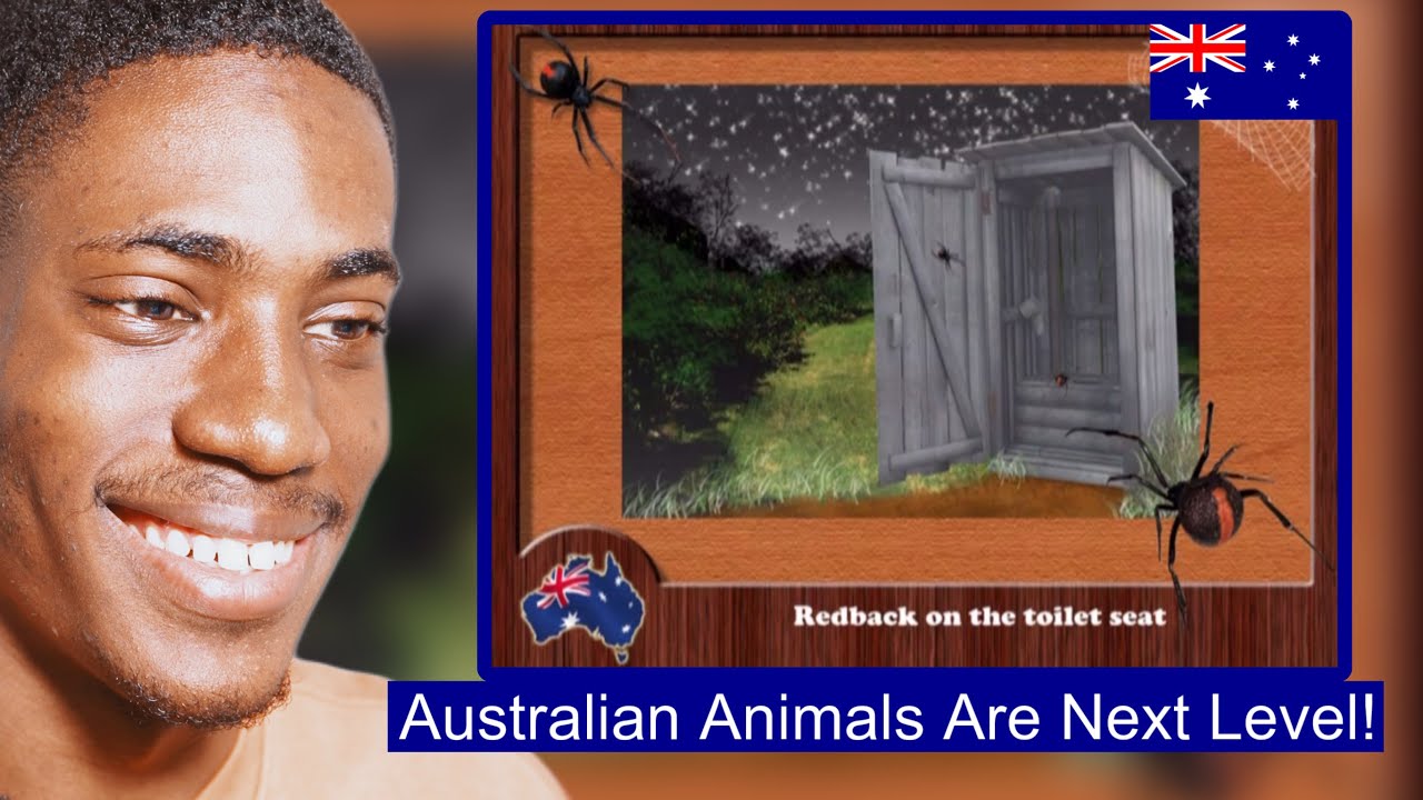 Australian Redback Spider on the Toilet Seat Slim Newton