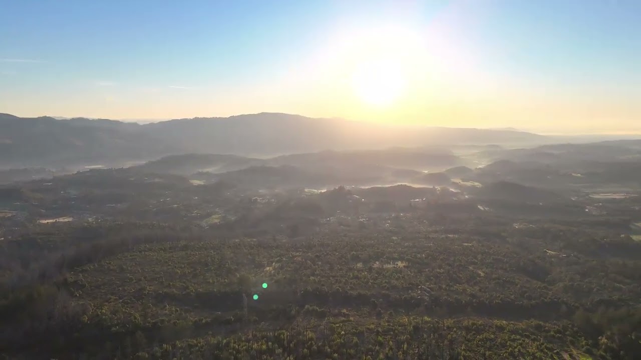 2742 Rollo Rd Drone Video