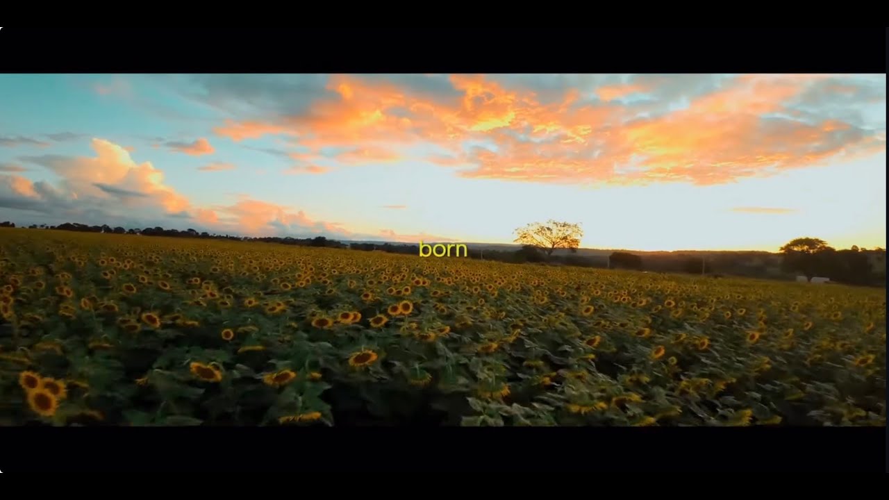 Teaser Girassol - Oliveira Filmes