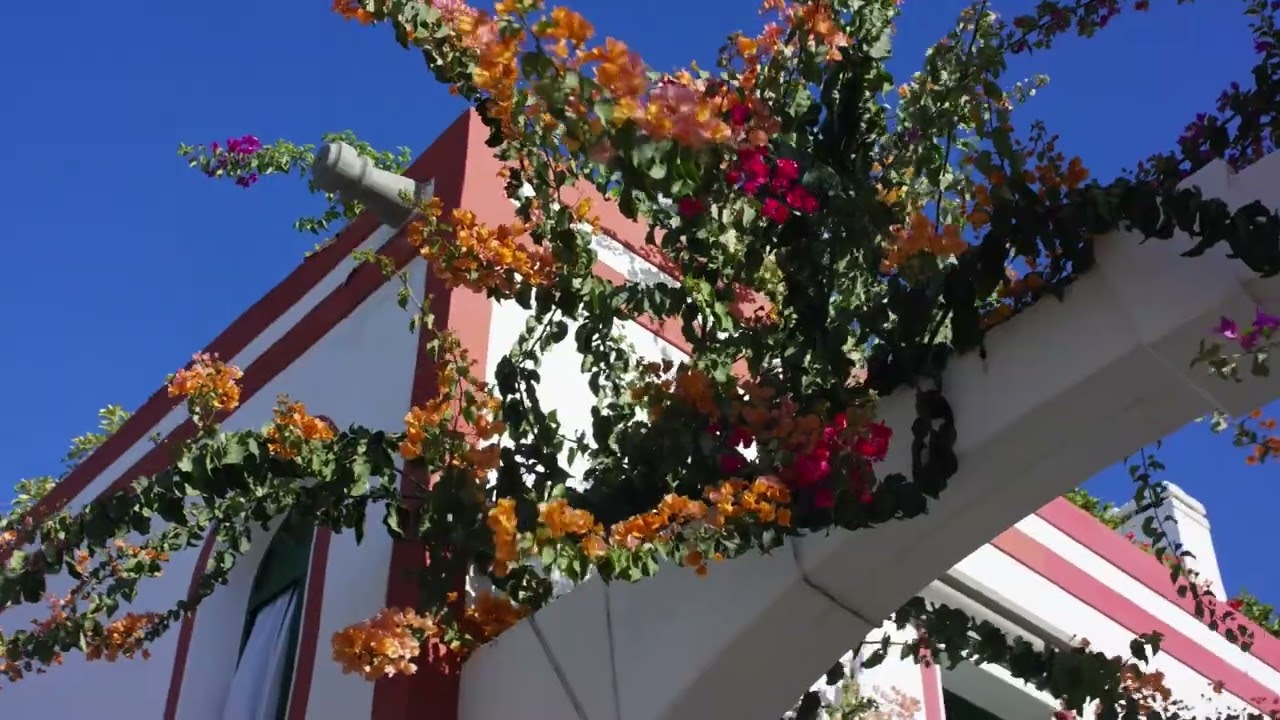 Hotel LIVVO Puerto de Mogan