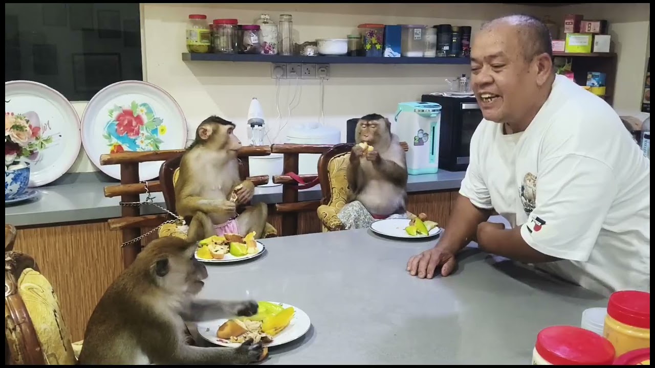 Bread and fruits