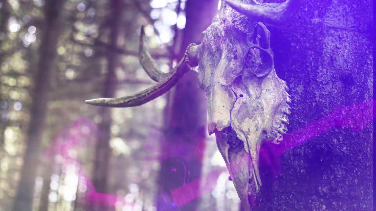AntlerQueen - Vokonis (Official Video)