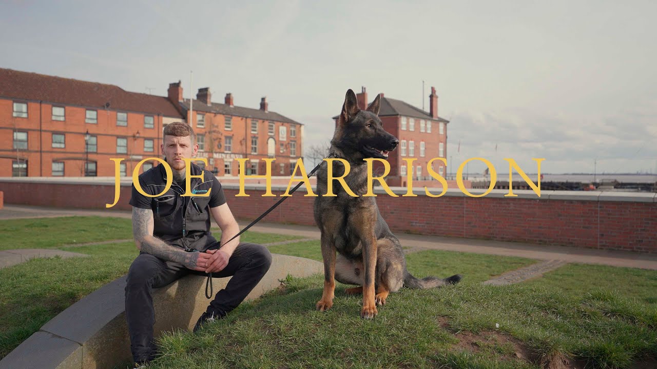 Знакомьтесь, Джо &mdash; кинолог в Protection Dogs Worldwide