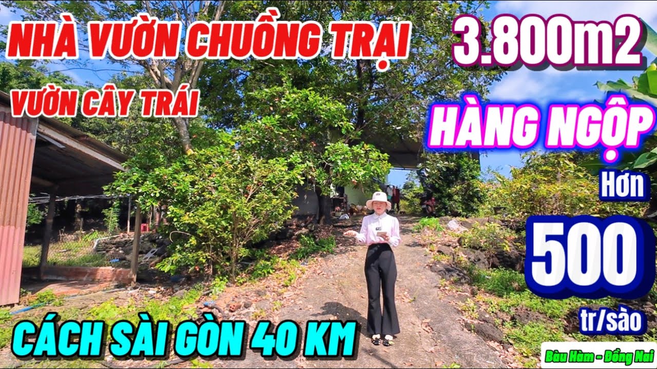 Nhà đất đồng nai, Nhà vườn cây trái chuồng trại siêu ngộp chỉ hơn 500tr/ sào cách đường nhựa 350m 