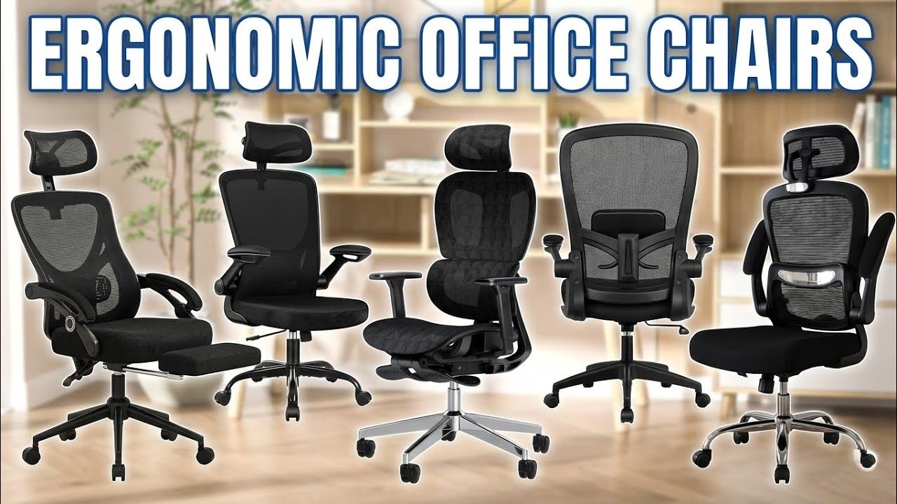 5 Best Ergonomic Office Chair in 2026