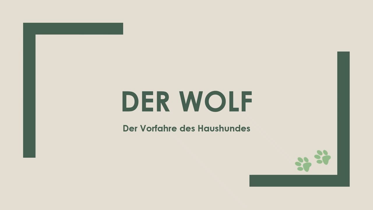 Der Wolf einfach und kurz erkl&auml;rt