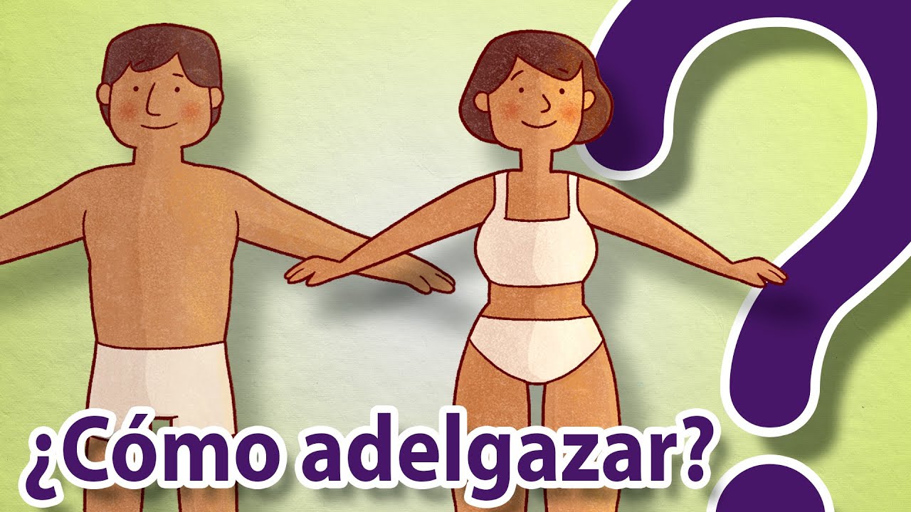 &iquest;C&oacute;mo adelgazar seg&uacute;n la ciencia?