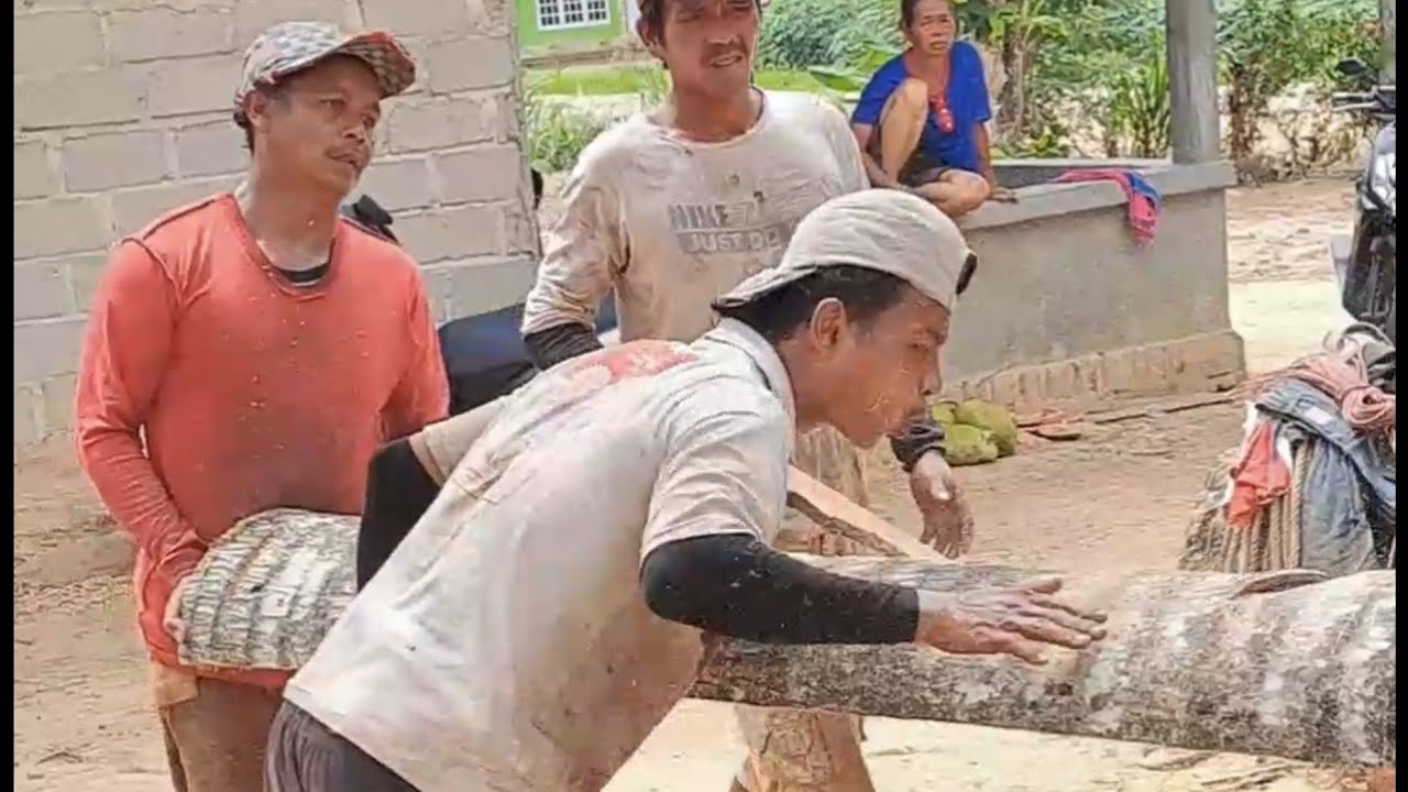the process of splitting wood with a saw