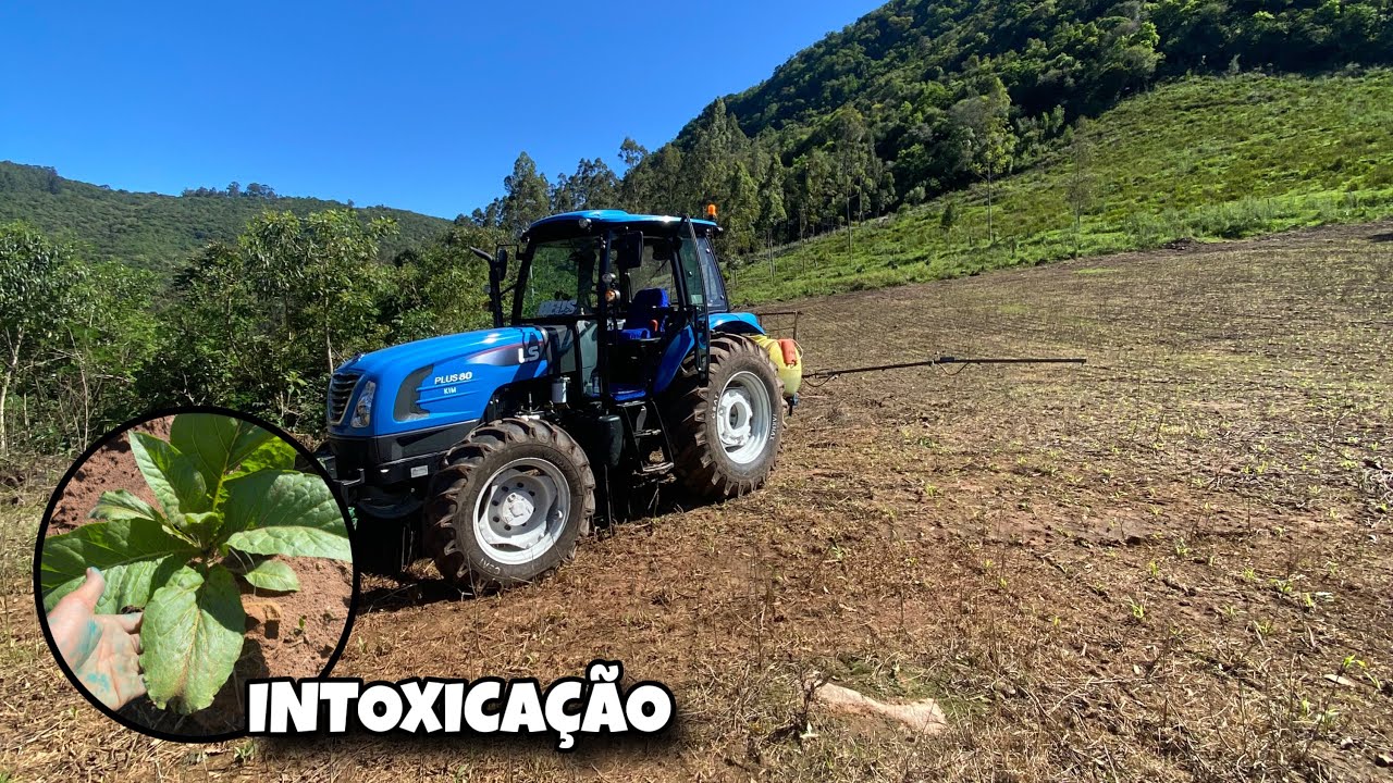 CAUSEI UMA FITOTOXIDEZ NA LAVOURA DO VIZINHO … 