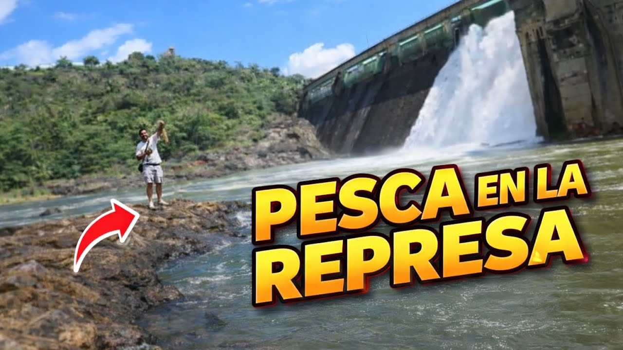 Pesca | COMPETENCIA de REDS en la REPRESA!