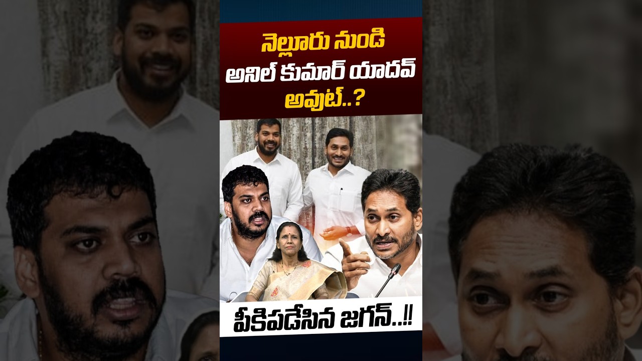 YS Jagan Shock To Anil Kumar Yadav: నెల్లూరు నుండి అనిల్ కుమార్ యాదవ్ అవుట్..? | Nethra Tv Telugu