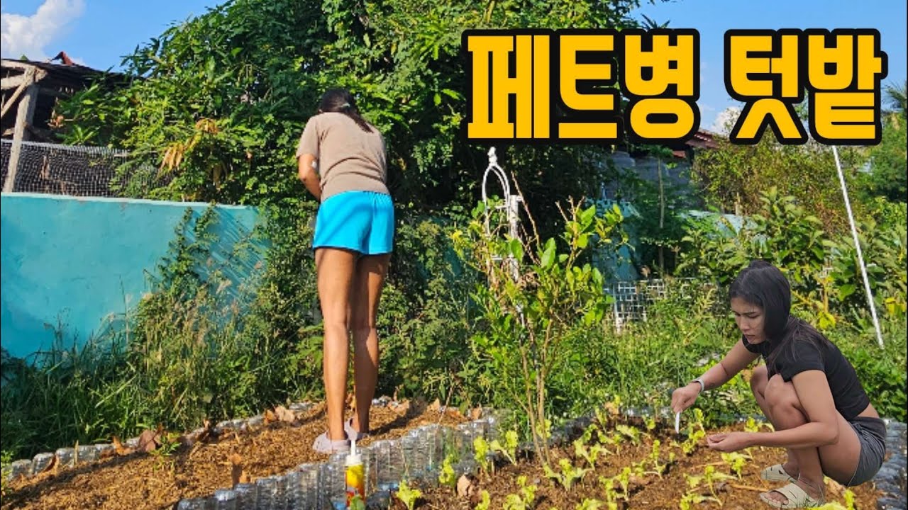 🇹🇭 버리는 페트병 텃밭 만들기 (PET Bottle Garden) #태국 #한태부부