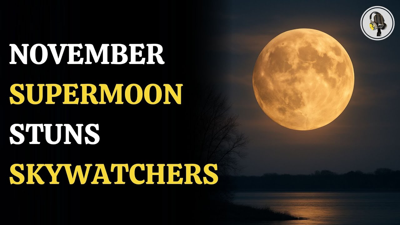 November Beaver Moon 2025: Last Supermoon of the Year | WION Podcast
