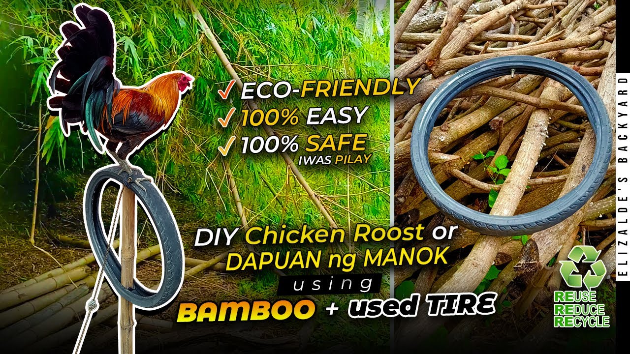 USED TIRE + BAMBOO into CHICKEN ROOST | DIY Dapuan ng Manok || Elizalde's BackYard