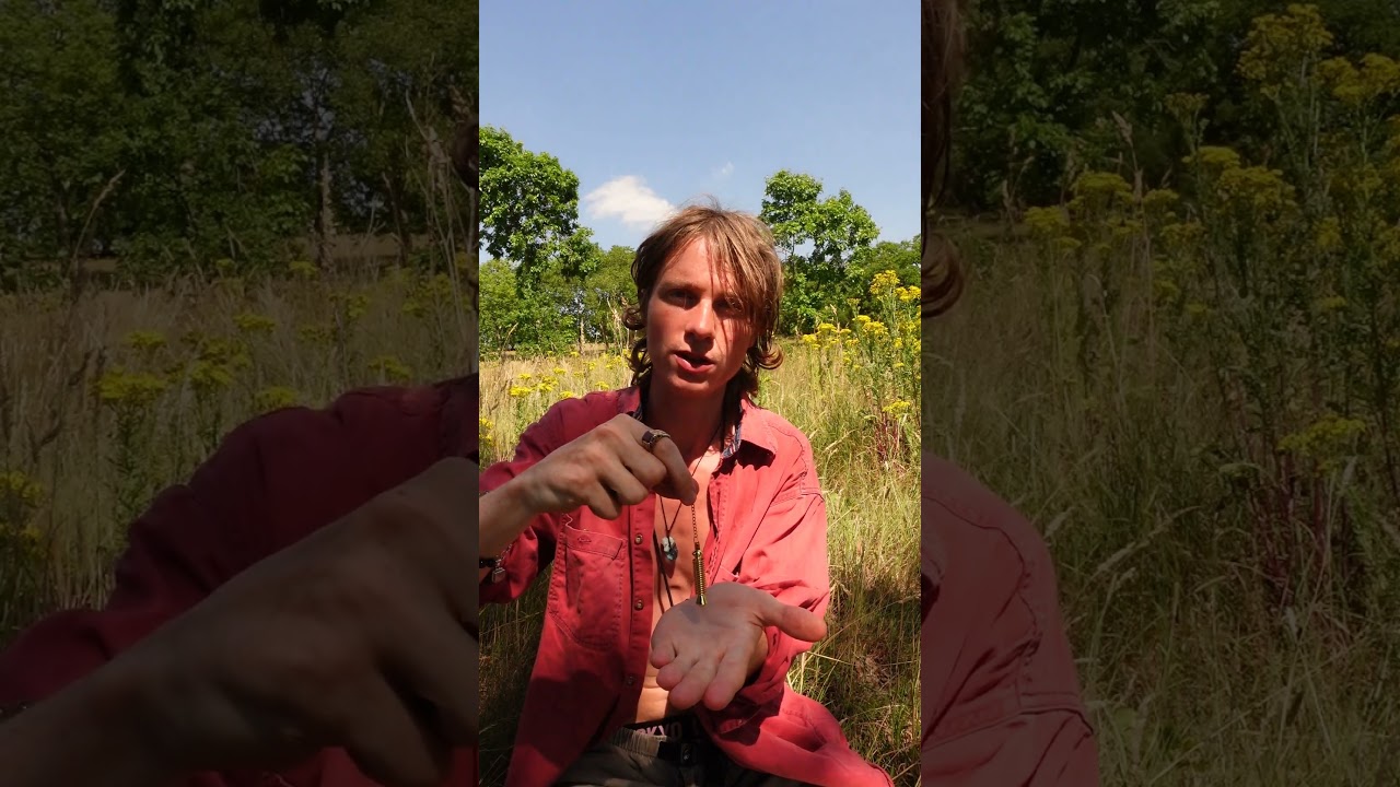 EASY Pendulum Healing Method! #pendulum #healing #peace #shorts