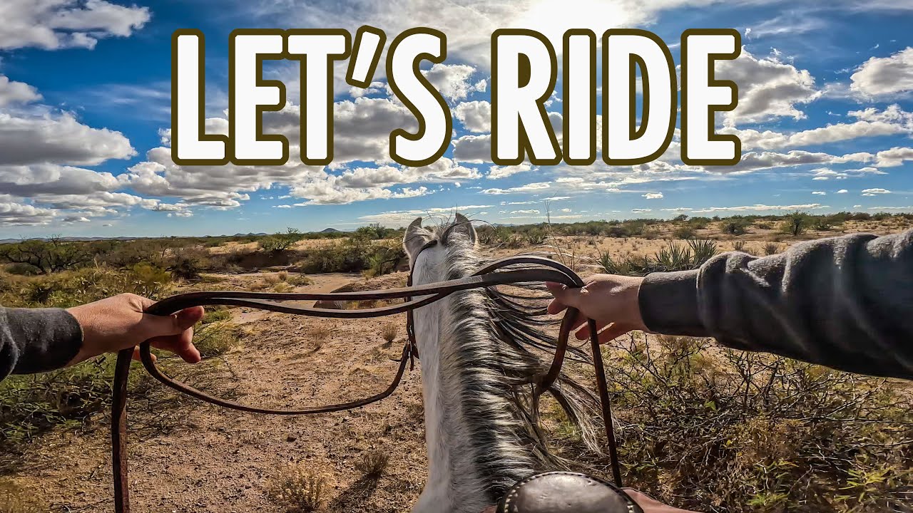 SEARCHING FOR WATER Arizona Desert TRAIL RIDE (GoPro Horseback POV)