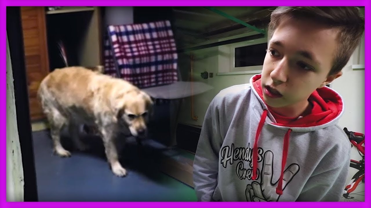 PŘESPALI JSME V CIZ&Iacute;M DOMĚ - CHYTIL N&Aacute;S HL&Iacute;DAC&Iacute; PES!