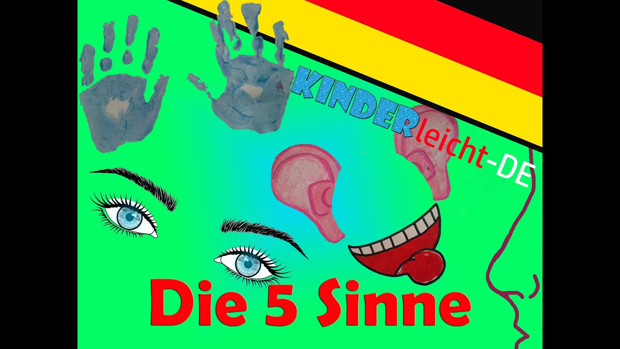 5 fünf Sinne/Lied/Körperteile/Kinderlied/cinque sensi/tedesco/german song/five senses/cinco sentidos