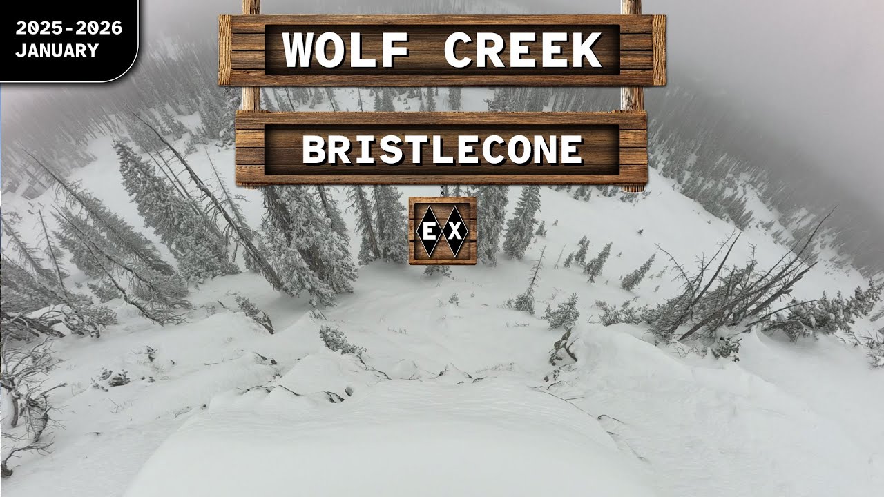 Wolf Creek ♢♢ Bristlecone on Knife Ridge