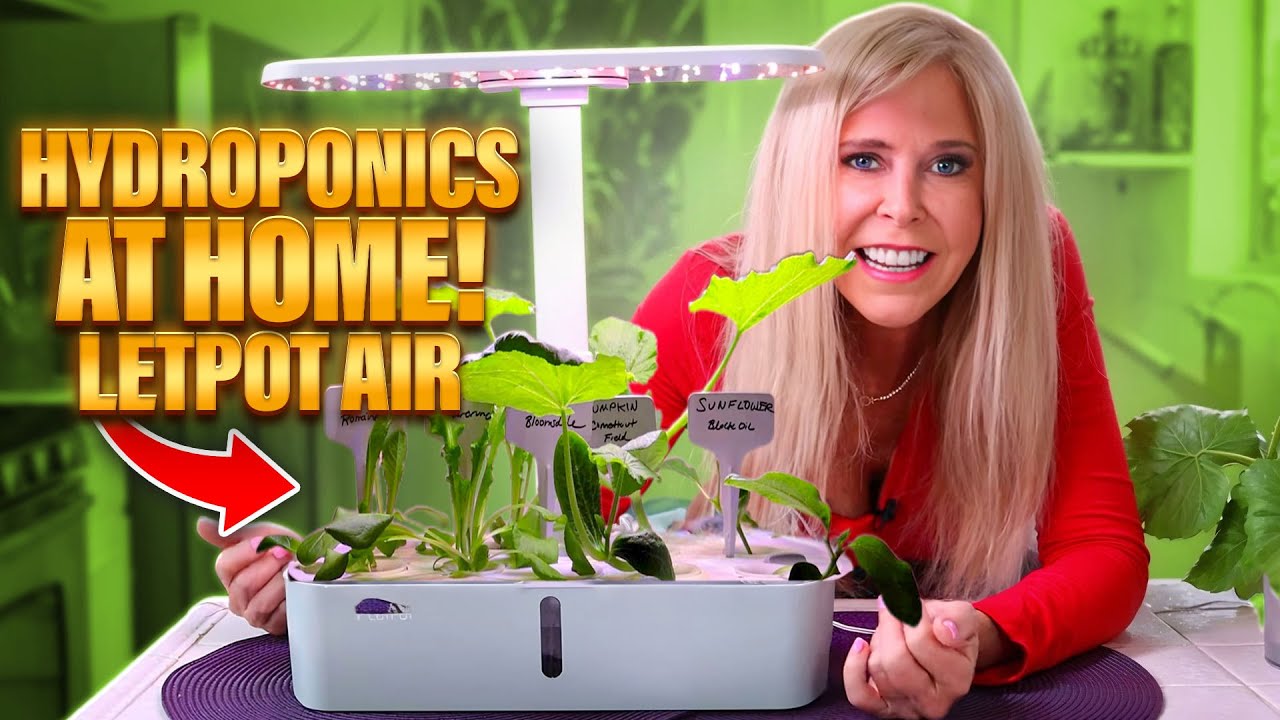 Indoor Hydroponic Gardening Beginners | Grow Lights | Letpot Lph-air Growing | Seed Starter