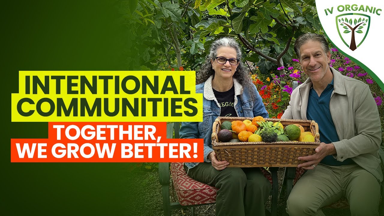 Intentional Community defined |  Let's Grow, Together!  feat. @judyshomegrown