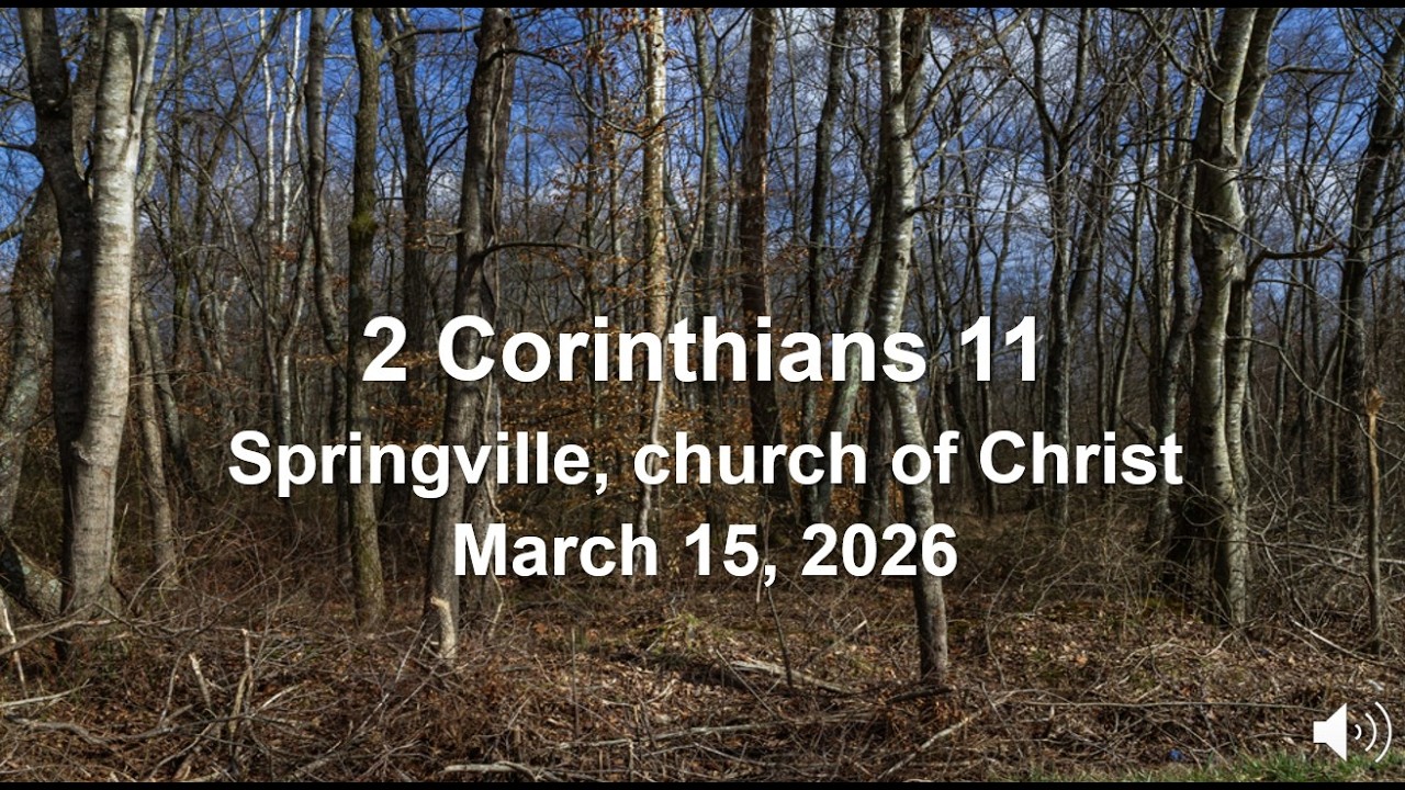 2 Corinthians 11:1-18
