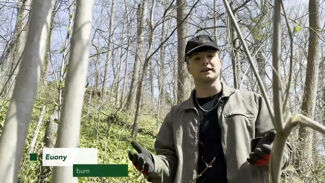 Gardener's Almanac:  Winter Invasive Plant Removal