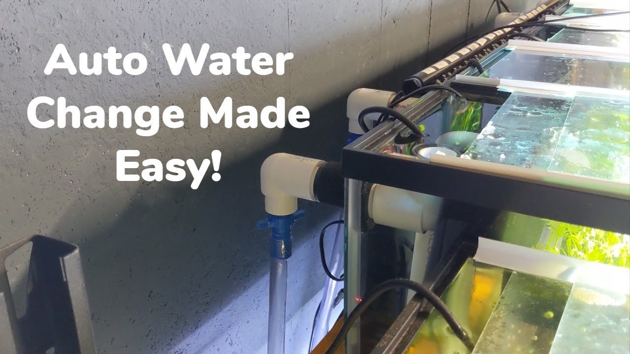 Auto Water Change Made Easy: Overflow System Set Up