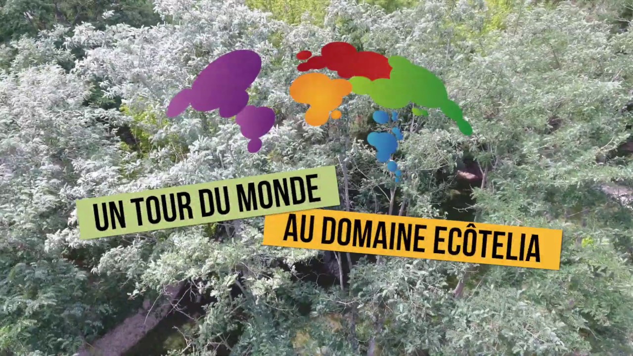 Domaine EcÔtelia Hébergement insolite et cabane dans les arbres en Aquitaine