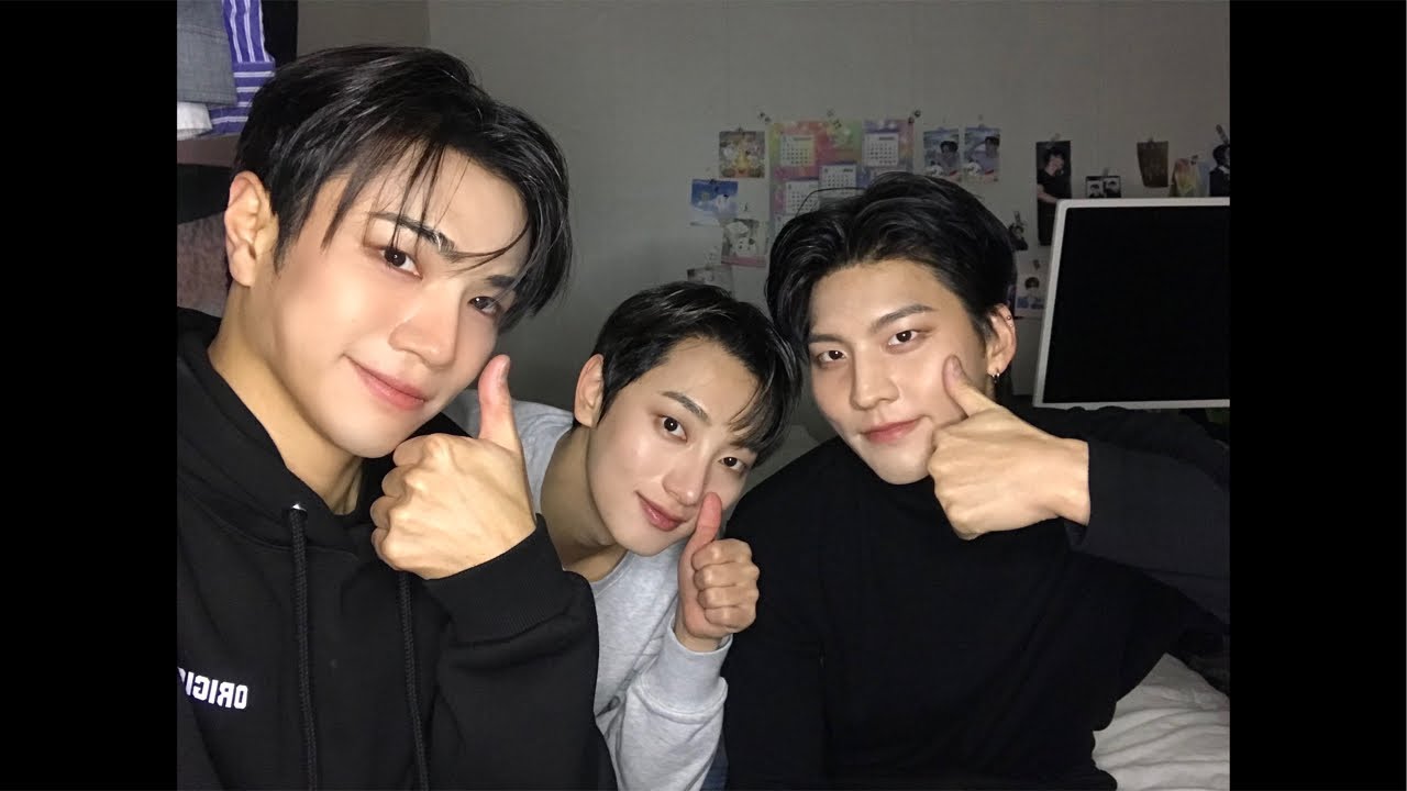 태곤영🐶🦖🦊