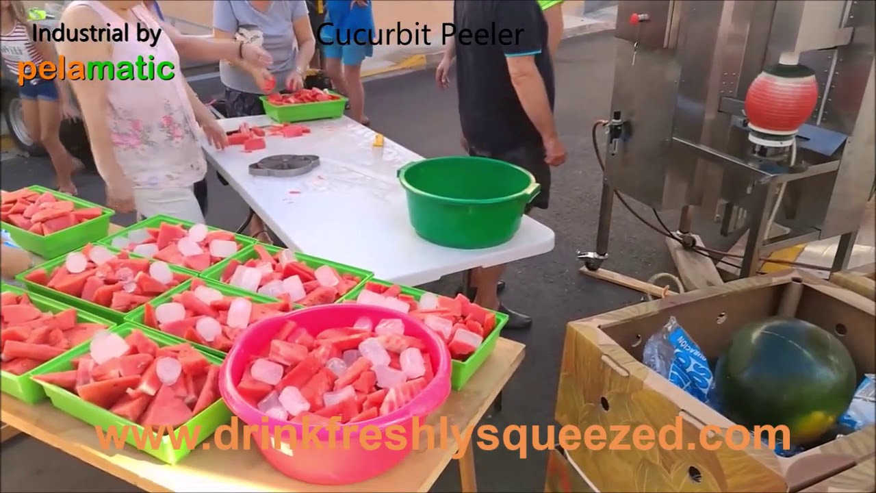 Pelamatic Industrial Commercial Orange Citrus Melon Peeler and Pomegranate De-Seeder