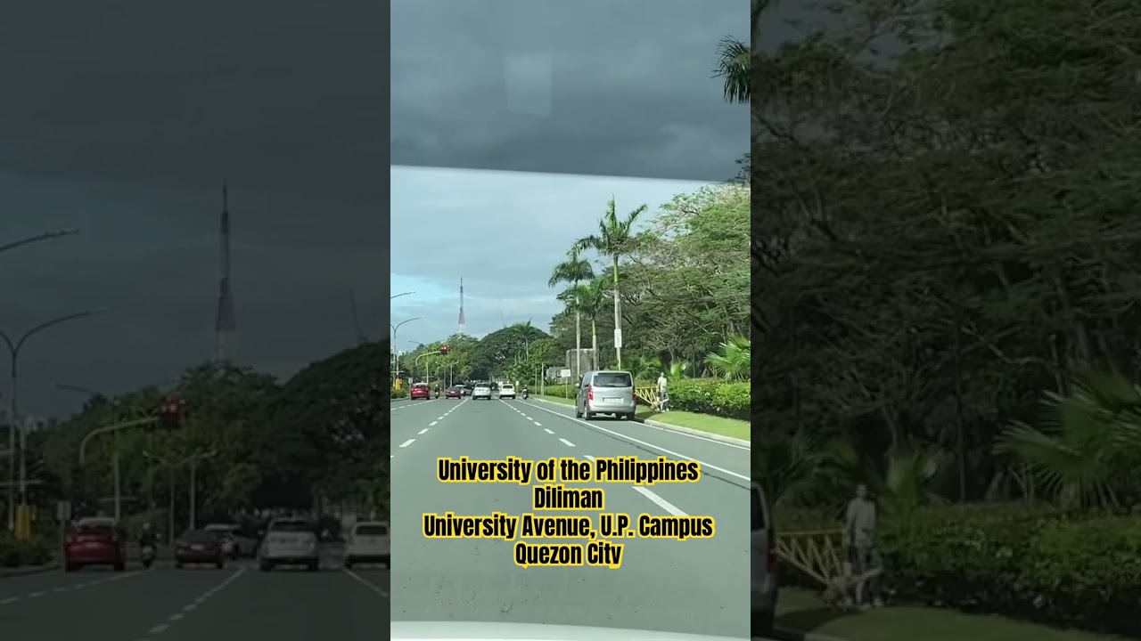University of the Philippines Diliman, University Avenue, U.P. Campus #quezoncity #philippines🇵🇭