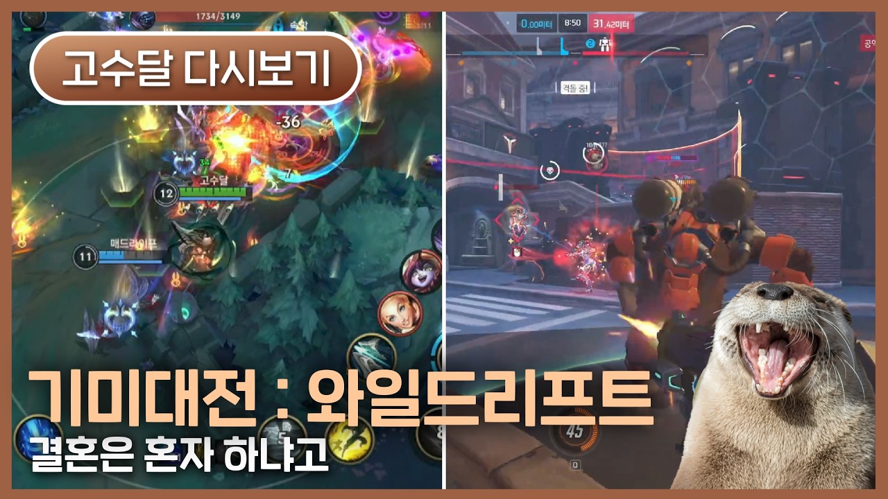 [2026.02.16] 기미대전 : 와일드리프트, 오버워치 내전 - 고수달 다시보기