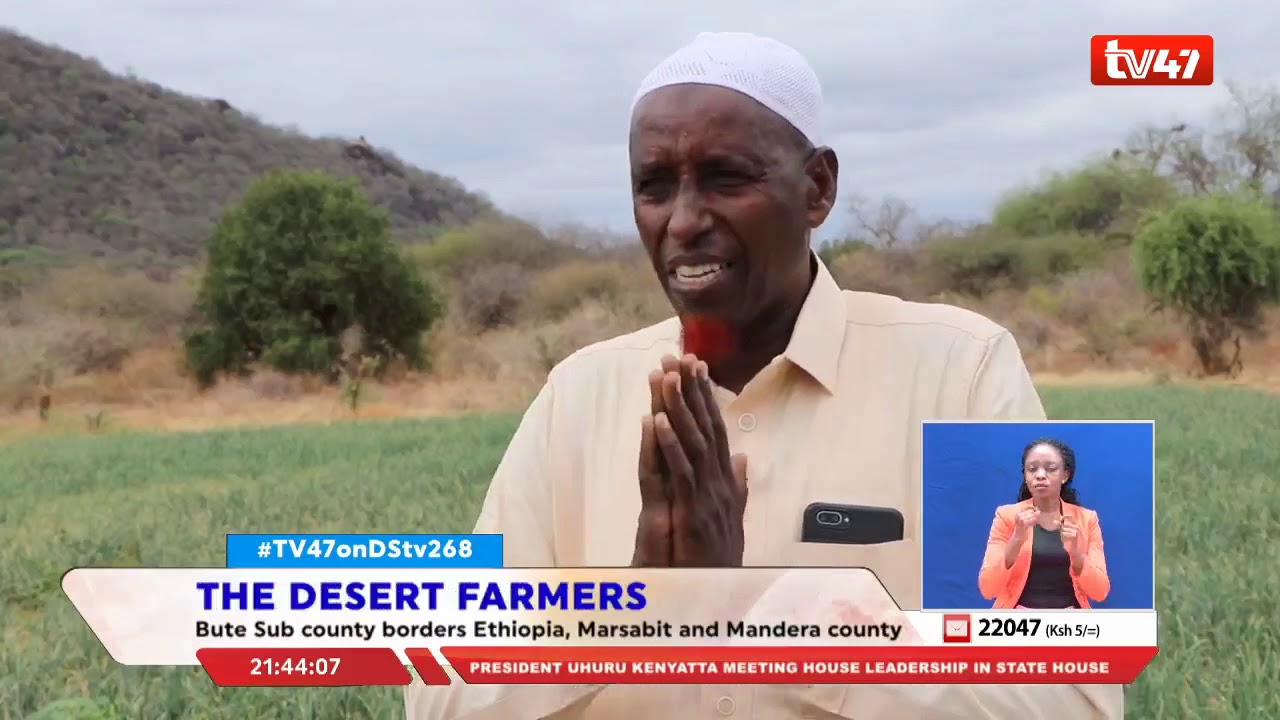 THE DESERT FARMERS: Resilient community in Bute Sub-county daring to rewrite North Eastern notion