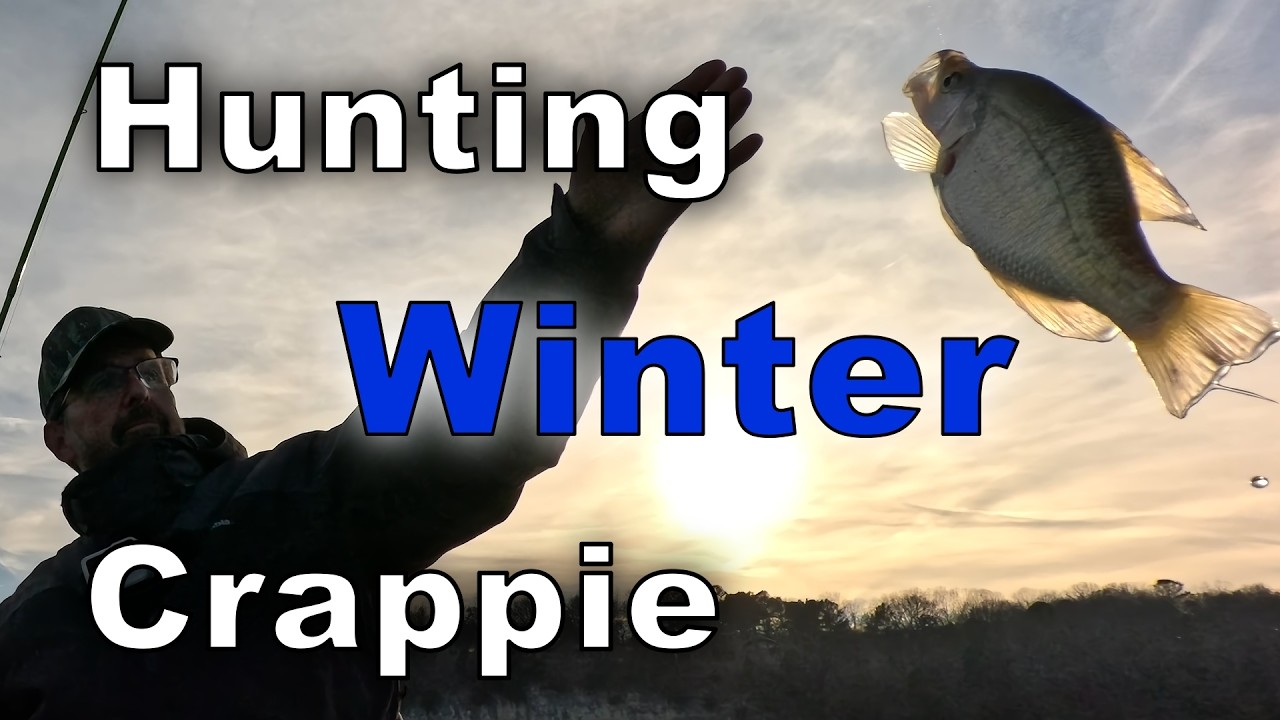 Hunting Winter Crappie in Brush - Trees - Rocks - Mud